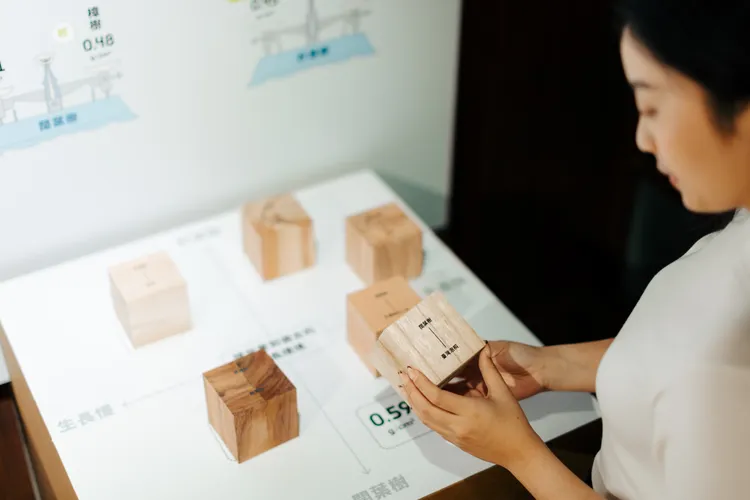 木的博物學｜以樹的擂台概念，親身探索樹木的特性。業者提供