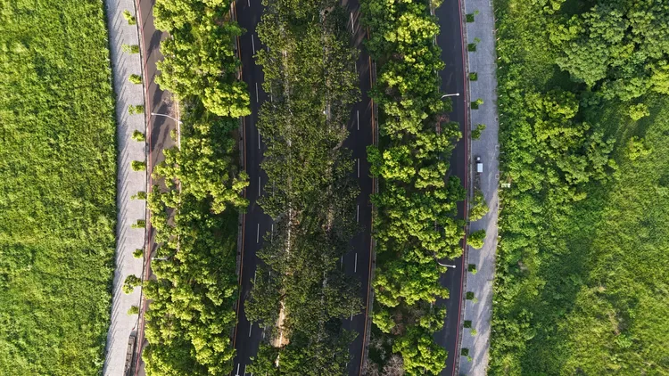 「坐忘林」緊鄰80米高鐵大道，住家具備綠景與永久視野。福裕提供