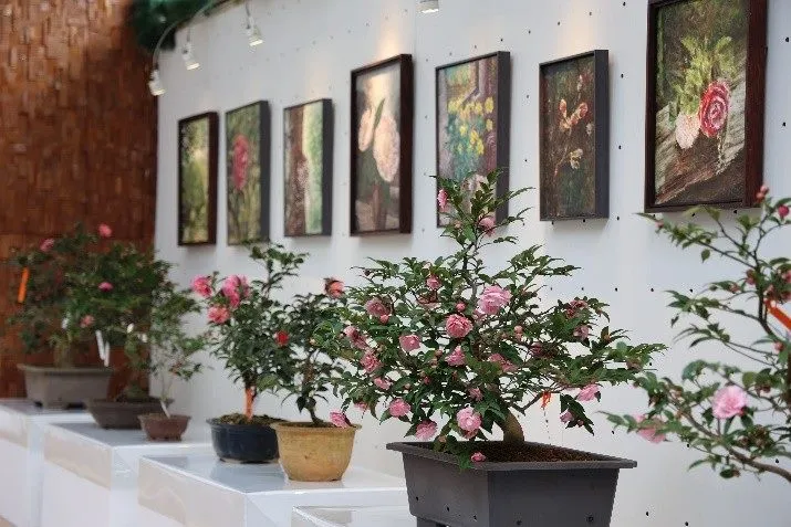 去（2024）年台北茶花展花卉中心展覽館一隅。北市工務局提供

