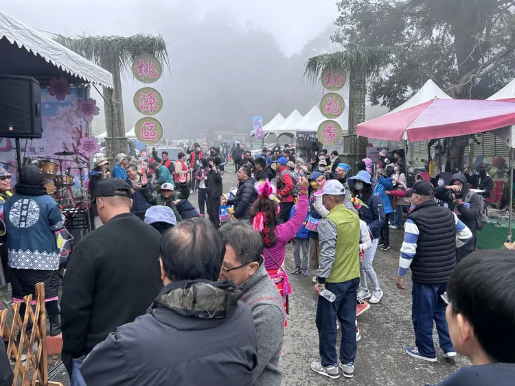 為期1個月的高雄市桃源區櫻花季11日開幕。原民會提供