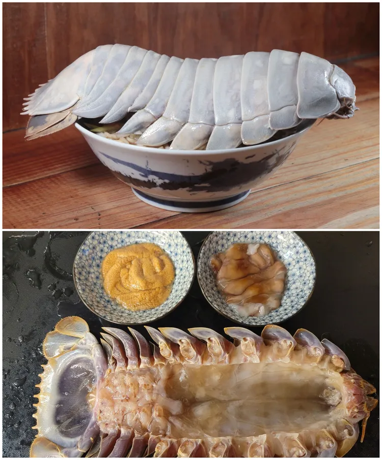 台北的拉麵王子餐廳曾供應「大王具足蟲濃厚魚介雞白湯拉麵」，售價1480元台幣。翻攝拉麵王子臉書