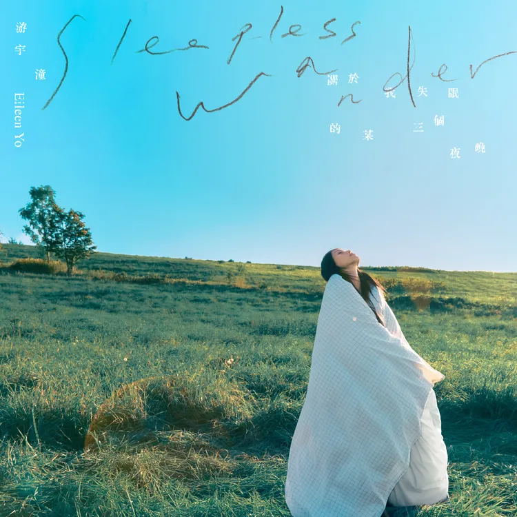 《關於我失眠的某三個夜晚》封面。經紀人提供