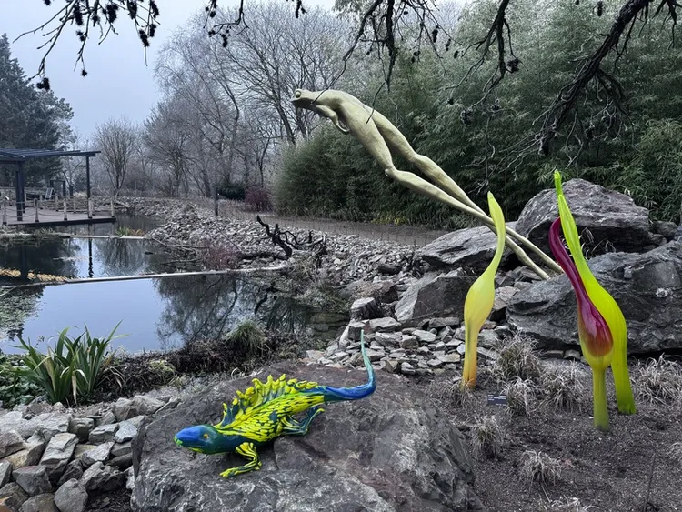 冬天的布拉格市立植物園景色蕭條，為吸引遊客造訪植物園，園內擺放繽紛的動植物玻璃藝術品。 中央社