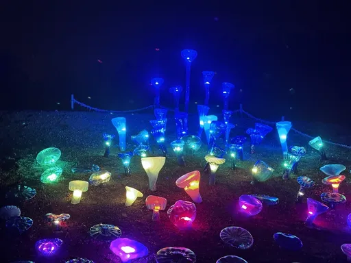 這樣的布拉格怎能不來?捷克植物園冬景蕭瑟 玻璃工藝大師打造夜光秀