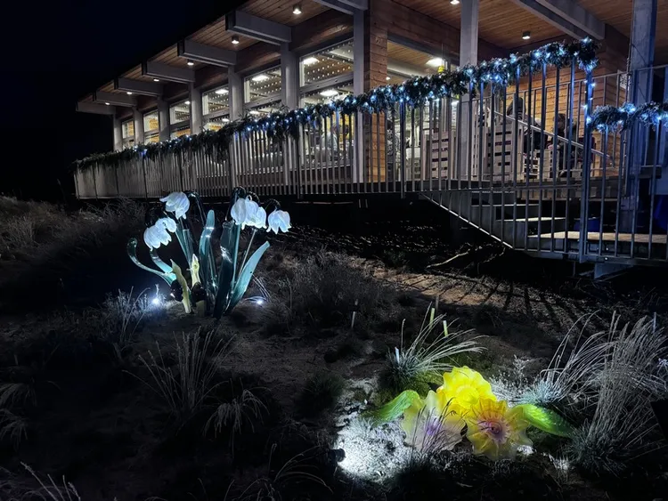 布拉格市立植物園在冬季舉辦玻璃夜光秀。園長切爾尼表示，遊客能看見獨一無二的動植物與花卉，以及感受濃厚的節慶氛圍。 中央社