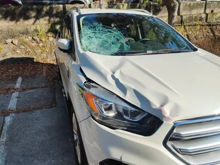 肇事車輛右前鈑金凹陷，擋風玻璃破裂呈蛛網狀，可見撞擊力道猛烈。民眾提供