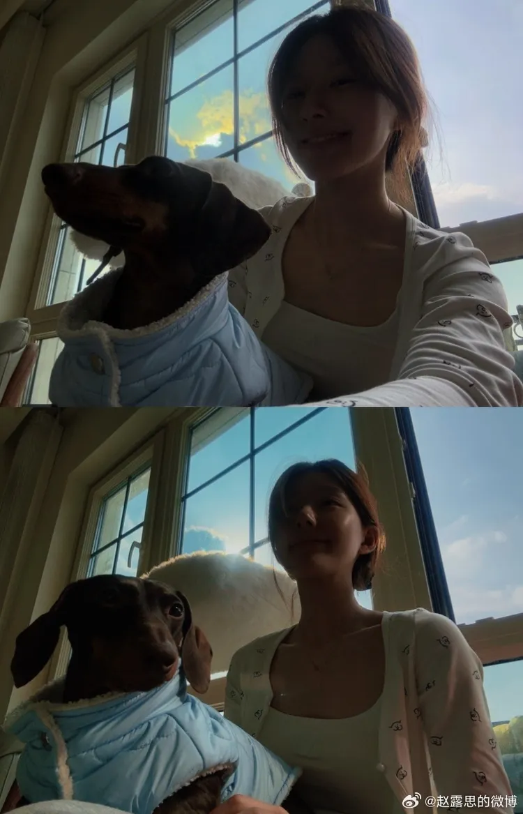 趙露思愛犬陪她養病。翻攝趙露思微博