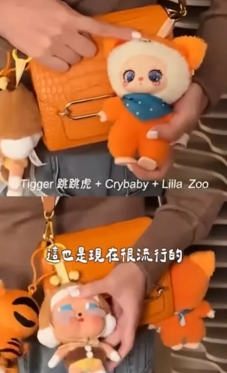 關穎在影片中分享超過10個包。翻攝關穎IG