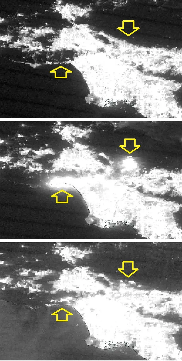 鄭明典分享洛杉磯大火夜間可見光波段影像。翻攝鄭明典臉書