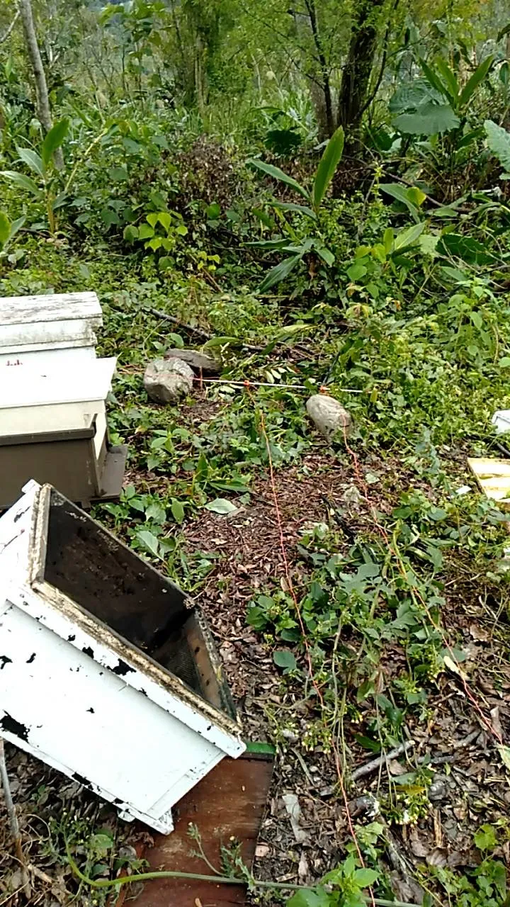 養蜂場遭破壞的蜂箱。林保署花蓮分署提供