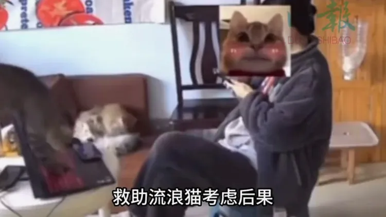 女子出示監視器畫面，表示辭職信真是貓咪踩到鍵盤誤發。翻攝自《都市時報》