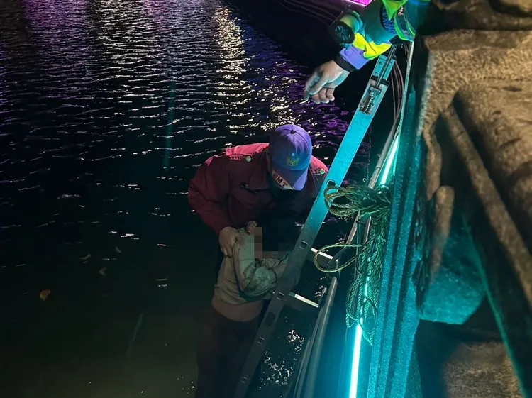 警消由池中拉起落水女子。桃園市消防局提供