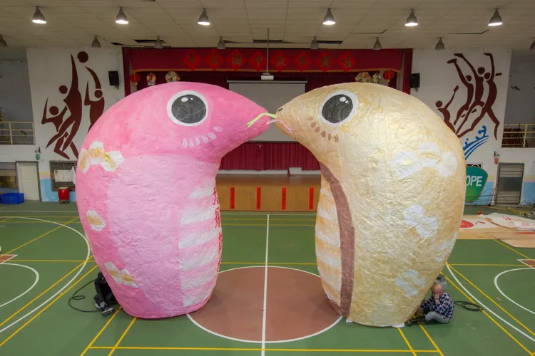 2/12十分場主燈呼應西洋情人節，首次設計12呎蛇年雙心天燈kiss，在金蛇與粉紅蛇雙蛇天燈併攏下形成巨大愛心kiss。觀光局提供