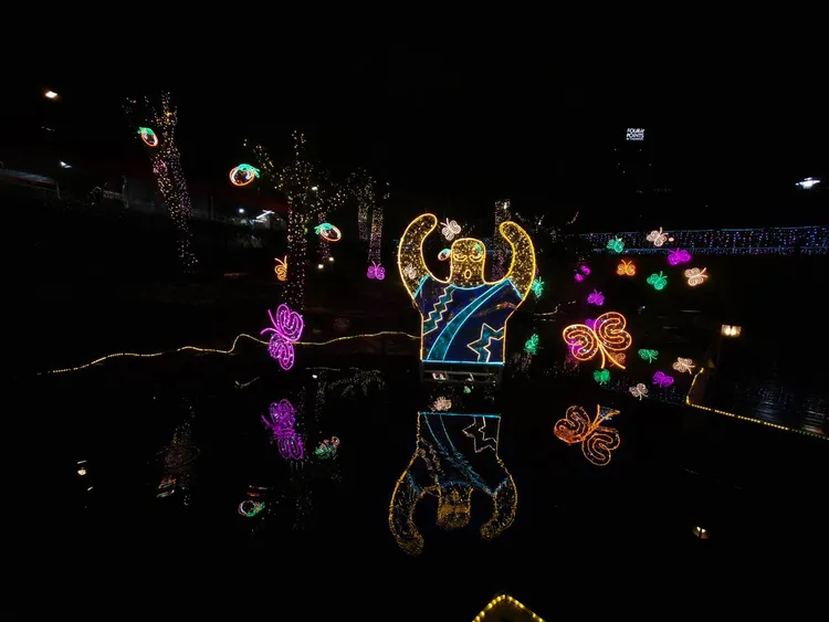 夜拍下顏色也顯得更為真實與清晰。趙筱文攝