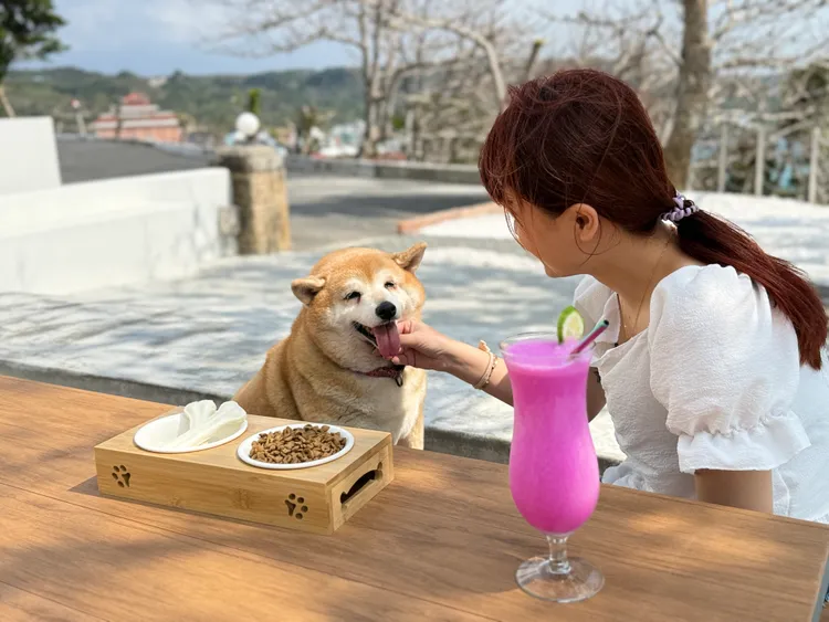 「船帆石No.1000」配合館內寵物友善的政策，也歡迎帶著毛小孩一起在咖啡廳的戶外區，享受墾丁的碧海藍天。業者提供