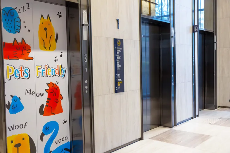 嘉義福容voco酒店在客房電梯門外觀貼上可愛的貓狗塗鴉，成為飯店最新網美打卡牆。業者提供