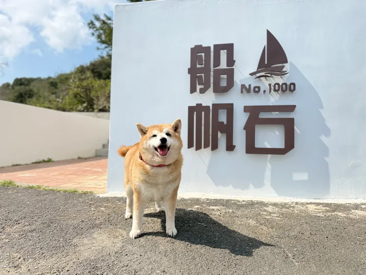 「船帆石No.1000」亦是寵物友善餐廳。業者提供