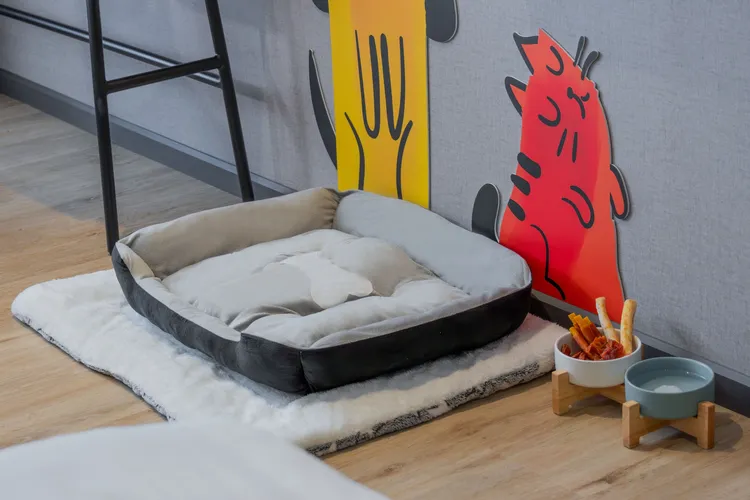 嘉義福容voco酒店的寵物友善房，貼心為毛孩準備「寵愛福袋」包含玩具、健康零食等。業者提供