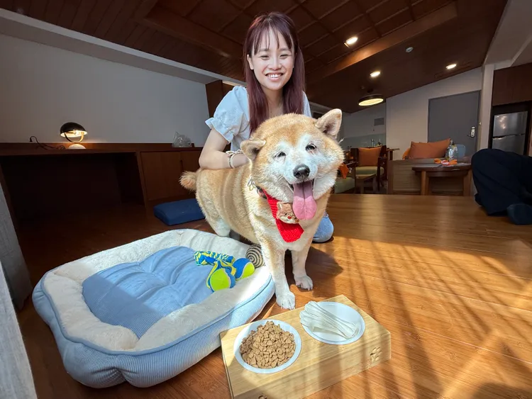 福容墾丁店於2025年再度推出「帶著毛孩住Villa」專案，寵物需要的用品，一應俱全。福容提供