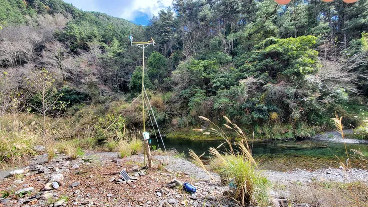 雪霸國家公園管理處長期在武陵七家灣溪監測溪流生態，去年首次嘗試在溪畔設立猛禽棲架就有收穫。雪管處提供