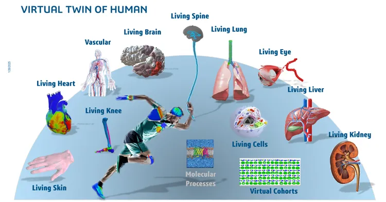 未來將會透過虛擬雙生帶來更多活體醫療計畫。達梭提供