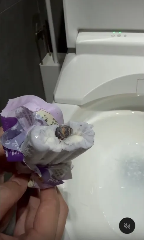 網友吃冰看到蟑螂頭。經網友wzh0404授權使用