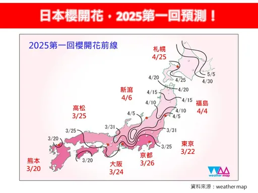 2025日本櫻花季首波預測！專家：整體會提早「特別是這區」