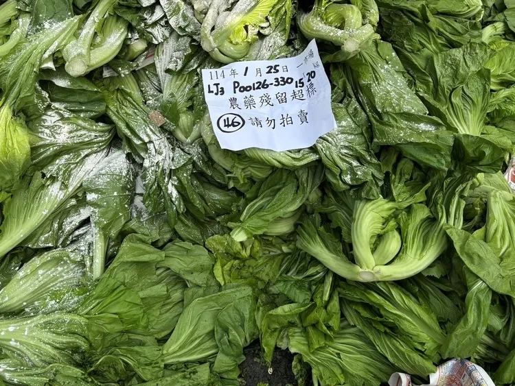 農藥檢驗不合格產品「芥菜」銷毀作業。北市市場處提供