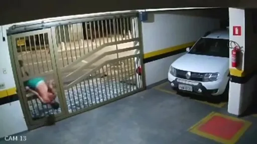 影片｜鐵門零破壞卻潛入行竊　小偷超軟Q「鑽」窄縫進車庫