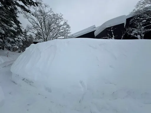 大雪釀災!北海道風雪取消118航班 逾1600人留宿新千歲機場