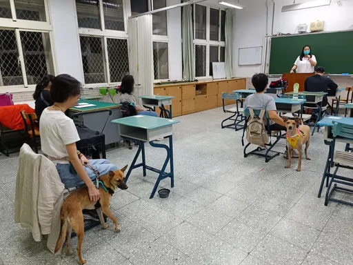 「毛孩學院」春季班開課!3月起貓狗專屬課程免學分費