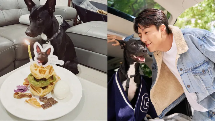 蔡凡熙分享與Amo的溫馨日常。品牌提供