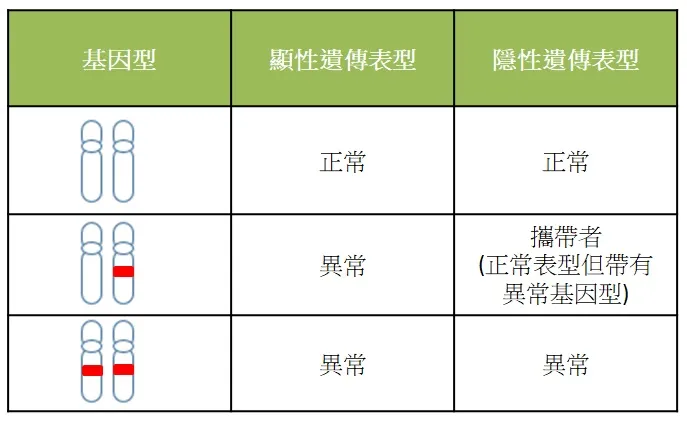 顯性隱性遺傳基因說明表。院方提供
