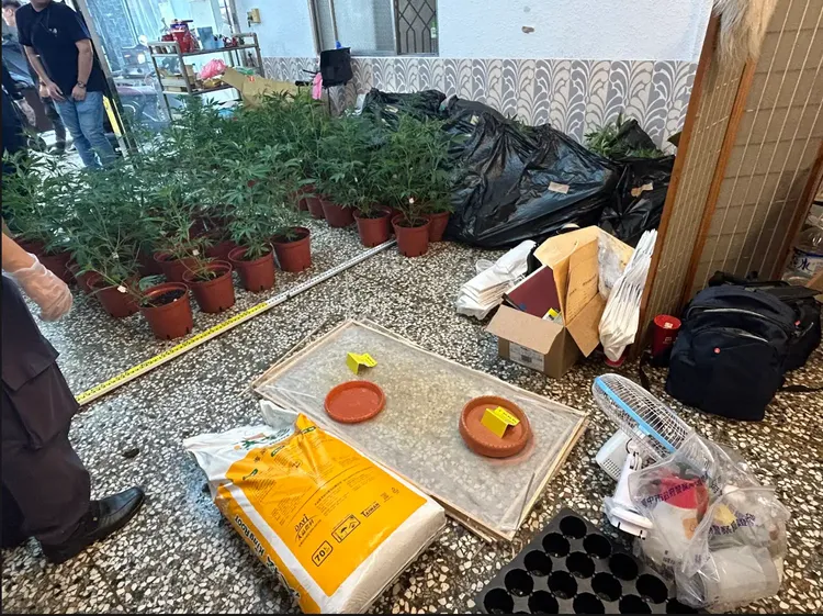 警方在彰化透天厝查獲大麻農場。翻攝畫面