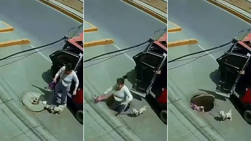 影片|人孔蓋陷阱「一踩就翻轉」 她下車立即被吞入下水道