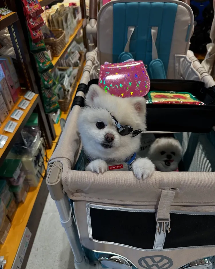 下一秒馬上糗了變「海盜」。翻攝王思佳Threads