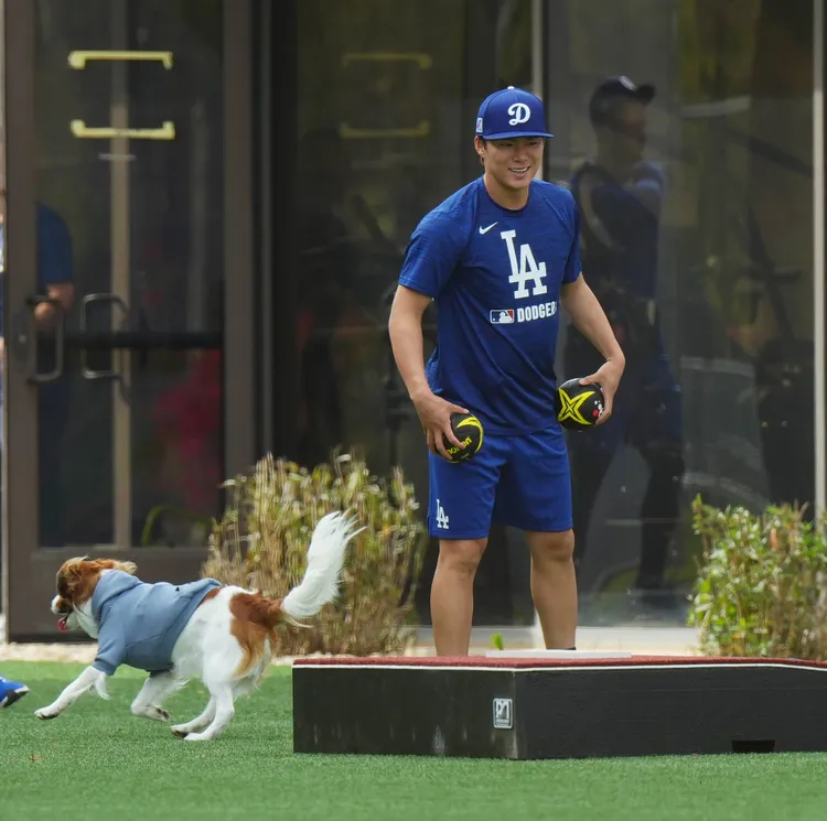 山本由申跟大谷翔平的狗Decoy。翻攝自nikkan_kanbin推特