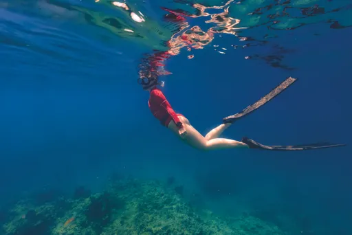 Garmin潛水錶新登場!Descent G2、X50i 2月24日台灣開賣