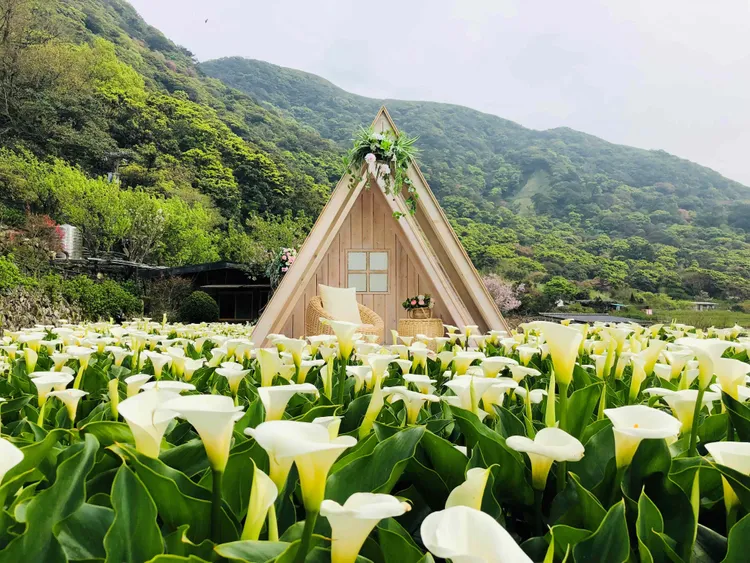 北投晶泉丰旅「沐春•里山悠然」春季專案房客可以從3家特約農園中任選一家入場。晶泉丰旅提供