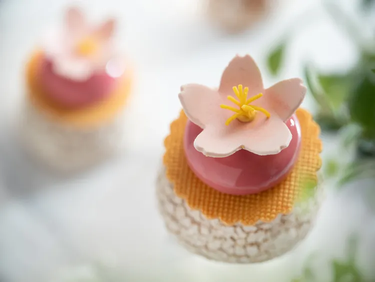 台北文華東方酒店「文華餅房」推出春季主題蛋糕，「春櫻戀歌」小蛋糕以粉嫩櫻花細膩雕琢春日景致，於舌尖恣賞溫柔風雅的花漾春色。台北文華東方酒店提供