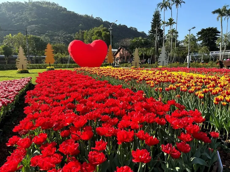 2025鬱金香展主題以「愛的遇藝」為出發 （2023年資料照）。北市工務局提供