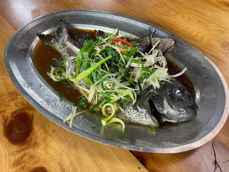 清蒸黑毛最能品嚐肉質獨有的藻香味。漁業處提供