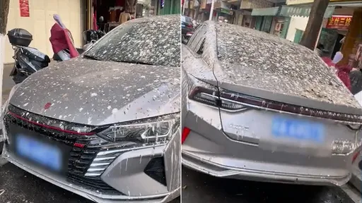 路邊這車格「外地人專用」 遊客爽停3天後崩潰:再也不來了