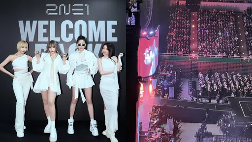 2NE1睽違11年林口開唱掀回憶殺!粉絲進場傻眼「完全看不到人」