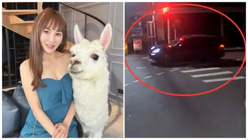 「10億身家女歌手」酒駕保時捷 判決出爐!繳9萬換免坐牢