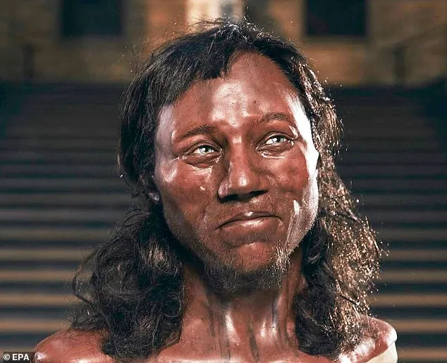 這尊雕塑描繪了切達人的臉孔，他是一位中石器時代的獵人，其遺骸於 1903 年在薩默塞特切達峽谷的高夫洞穴中被發現