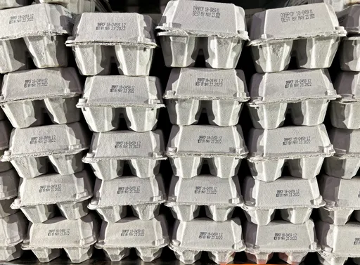 美国蛋价飙涨 窃贼一口气偷走10万颗鸡蛋!