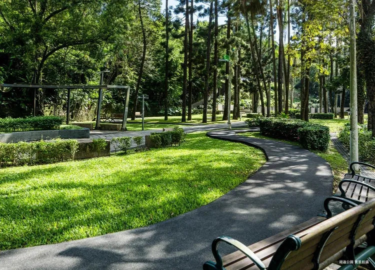 中研特區綠覆率高，擁有南港最多的公園綠地。圖為胡適公園