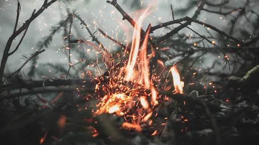 早上才下葬9旬父 當晚3兒子1女婿睡夢中4人全死