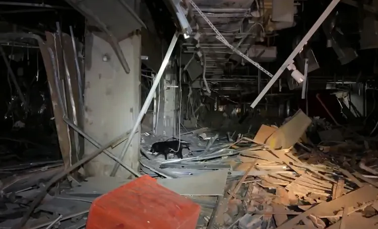 搜救犬搜索中。翻攝畫面